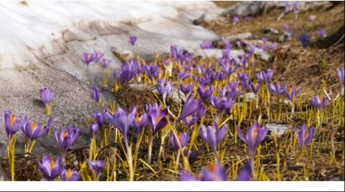 Өнөөдрөөс эхэлж ихэнх нутгаар дулаарна